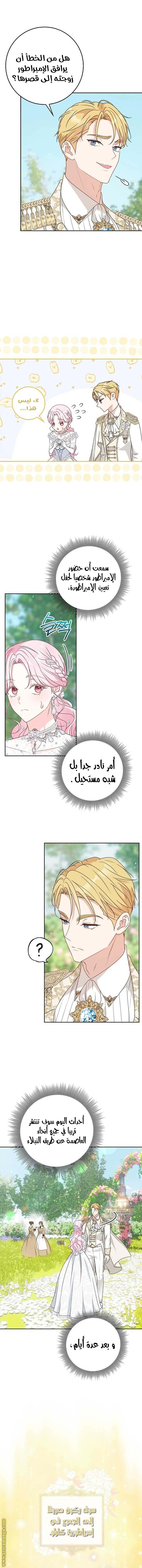 الصفحة 3
