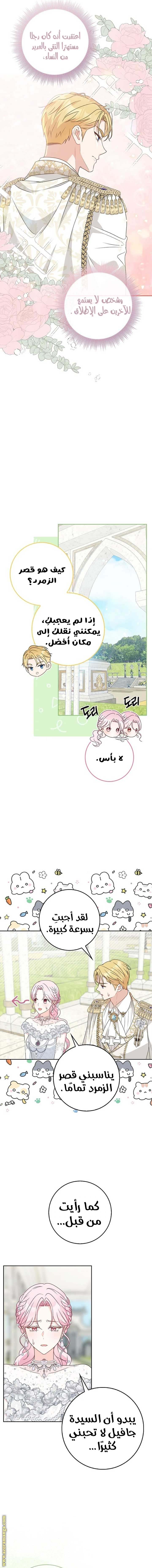 الصفحة 10