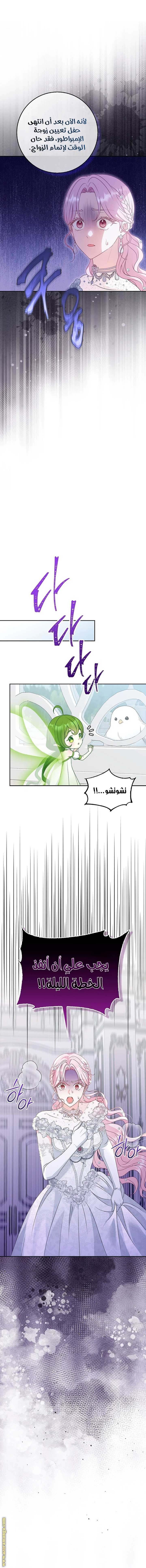 الصفحة 14