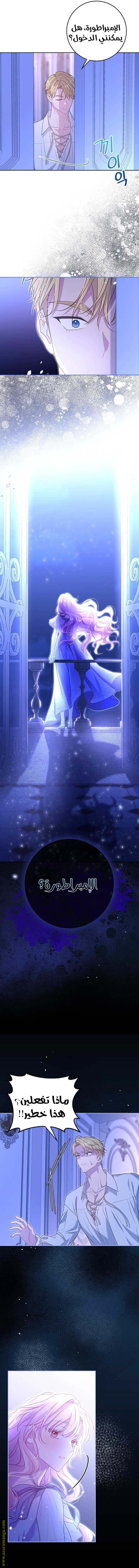الصفحة 17