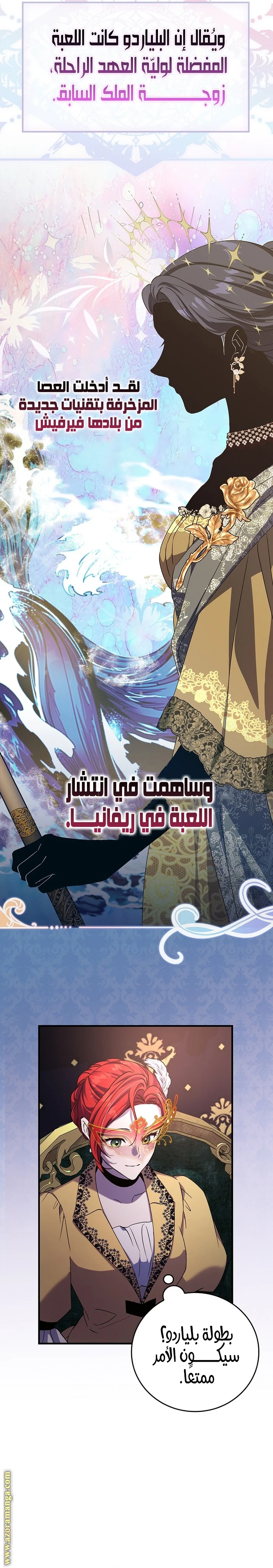 الصفحة 17