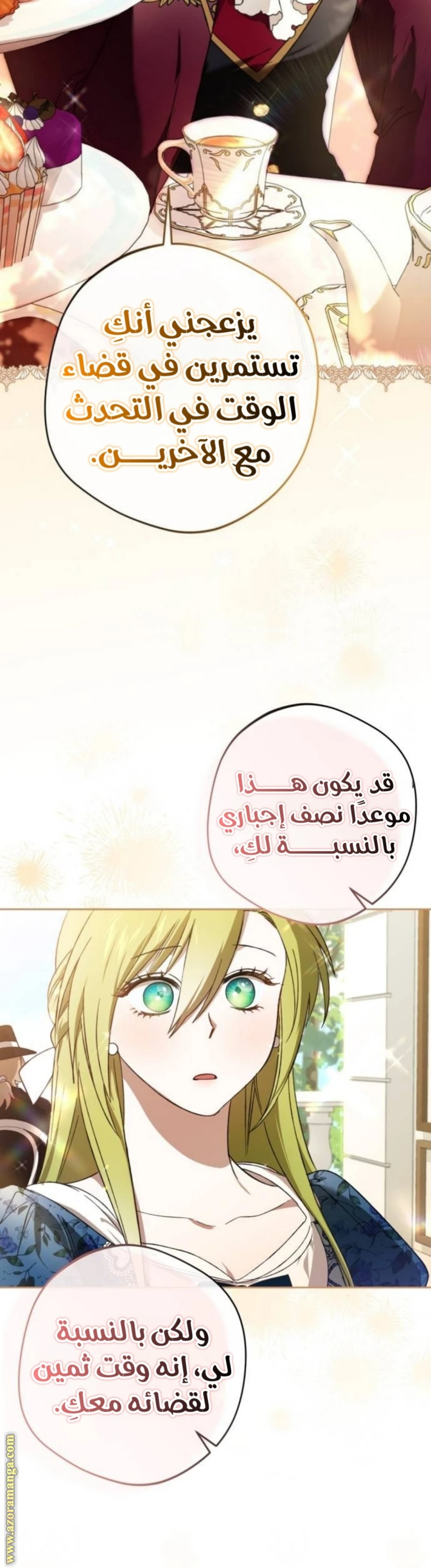 الصفحة 13