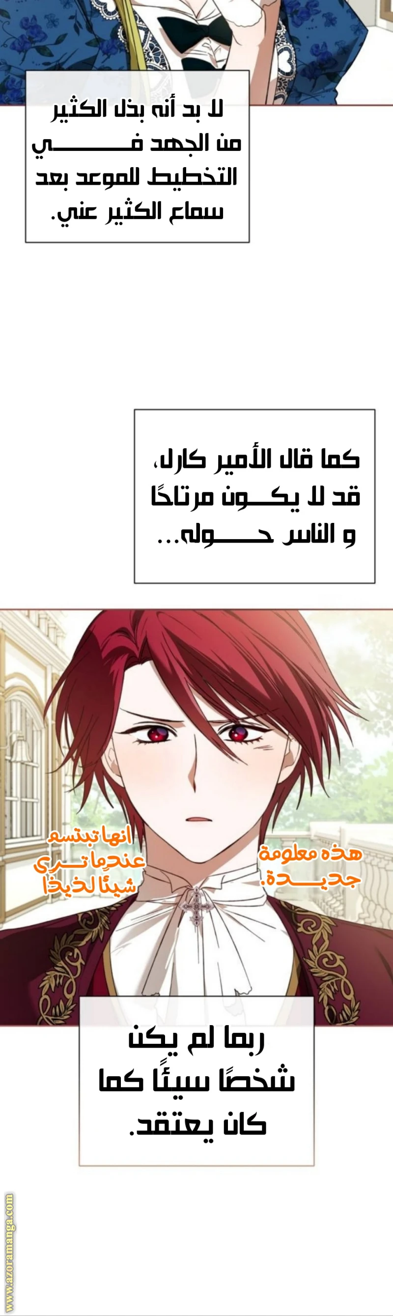 الصفحة 17
