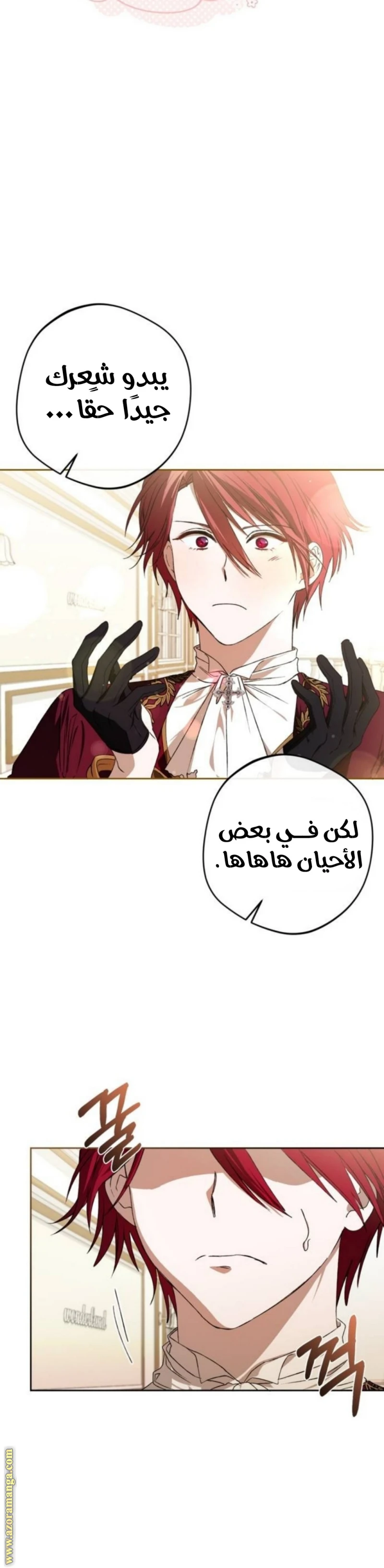 الصفحة 26