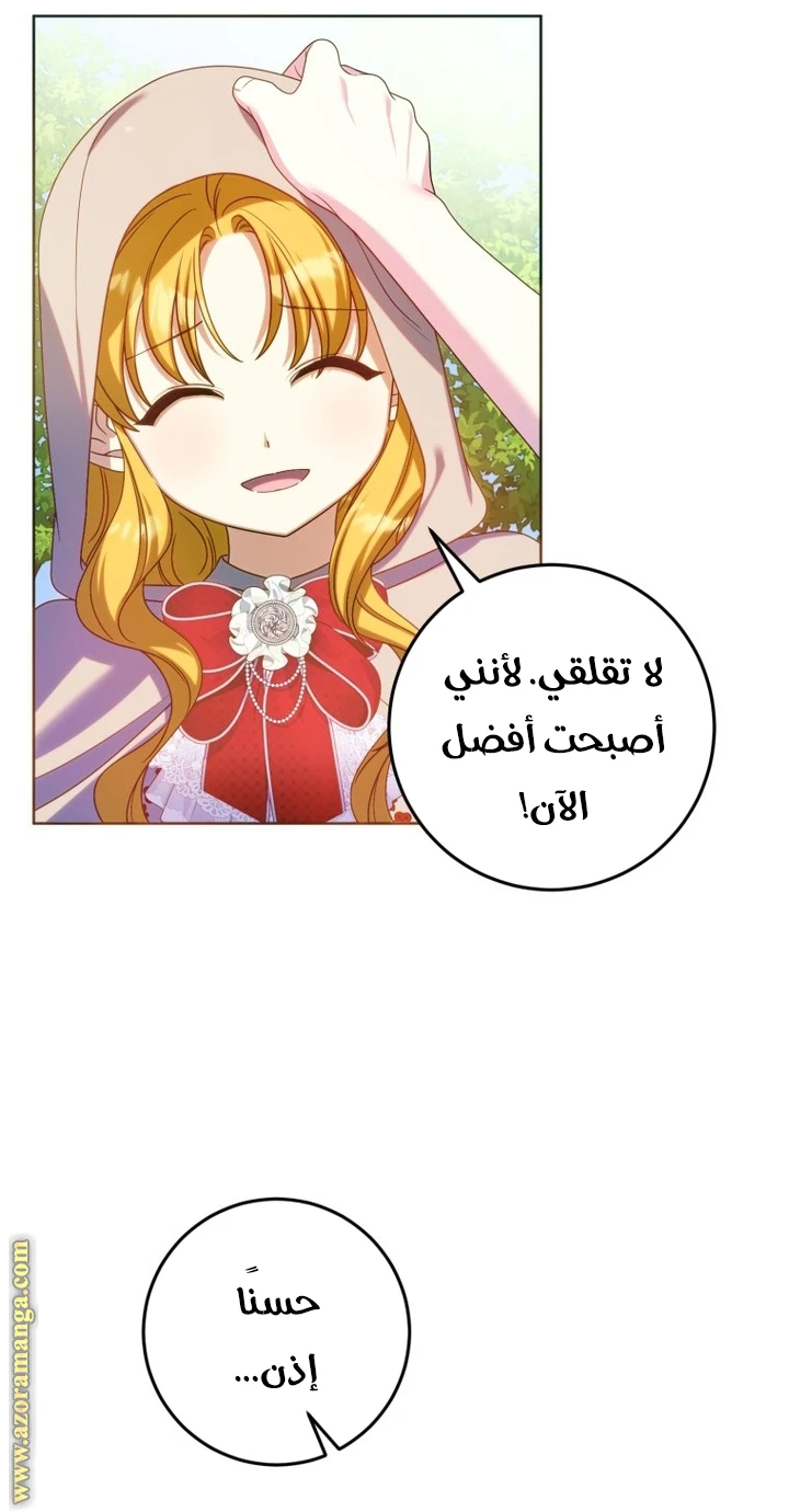 الصفحة 29