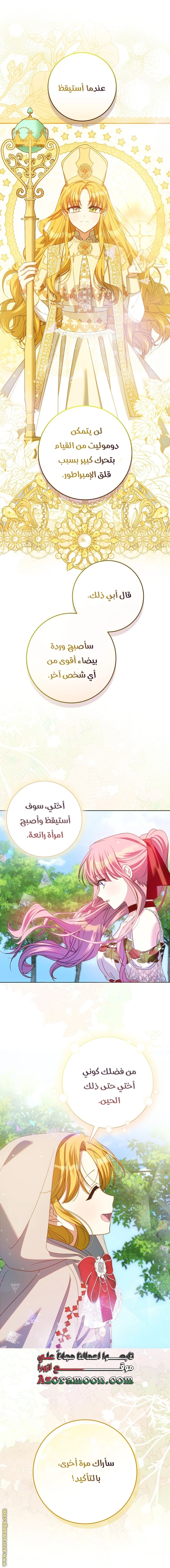 الصفحة 31