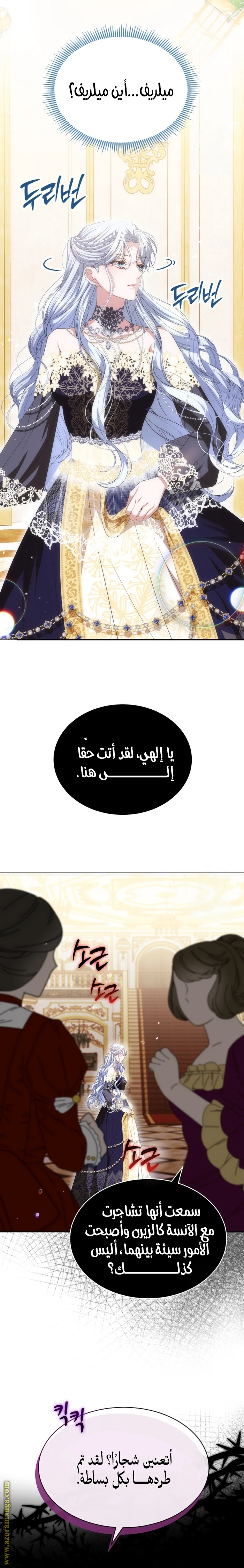 الصفحة 13