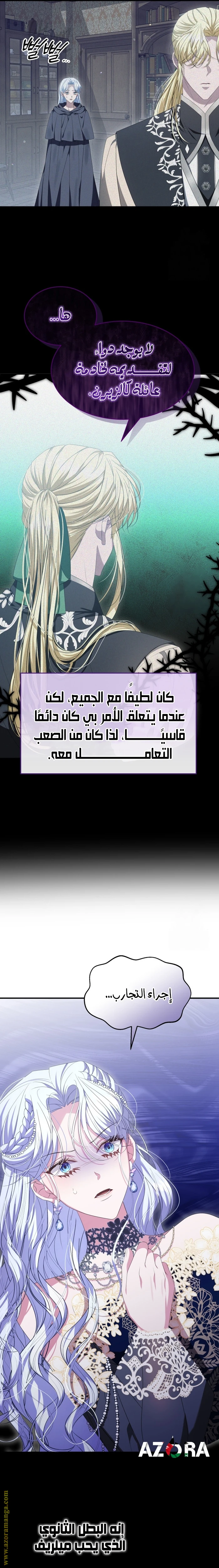 الصفحة 21