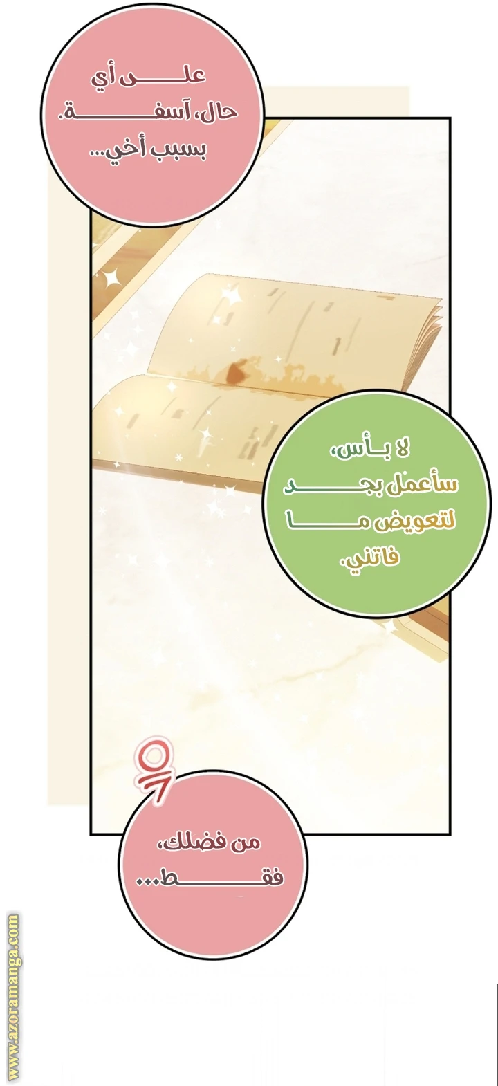 الصفحة 13