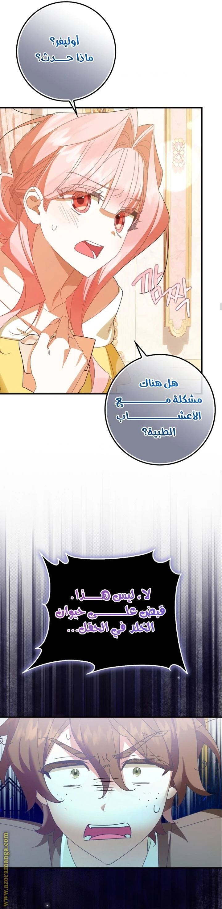 الصفحة 15
