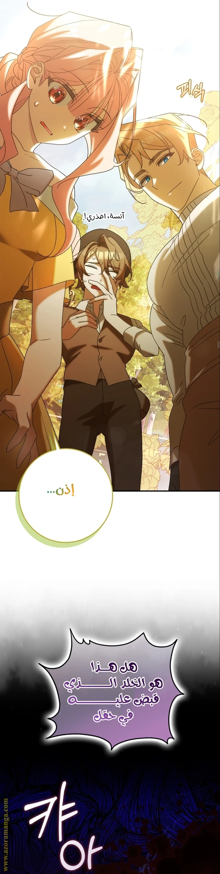الصفحة 17