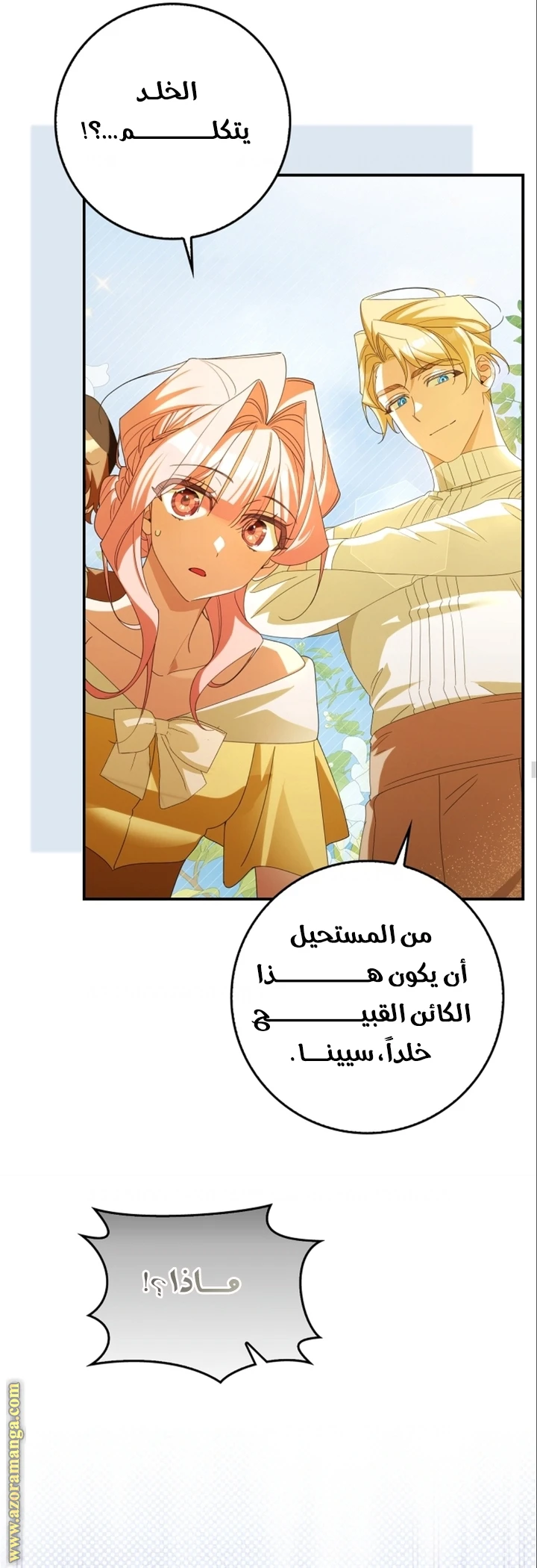 الصفحة 19