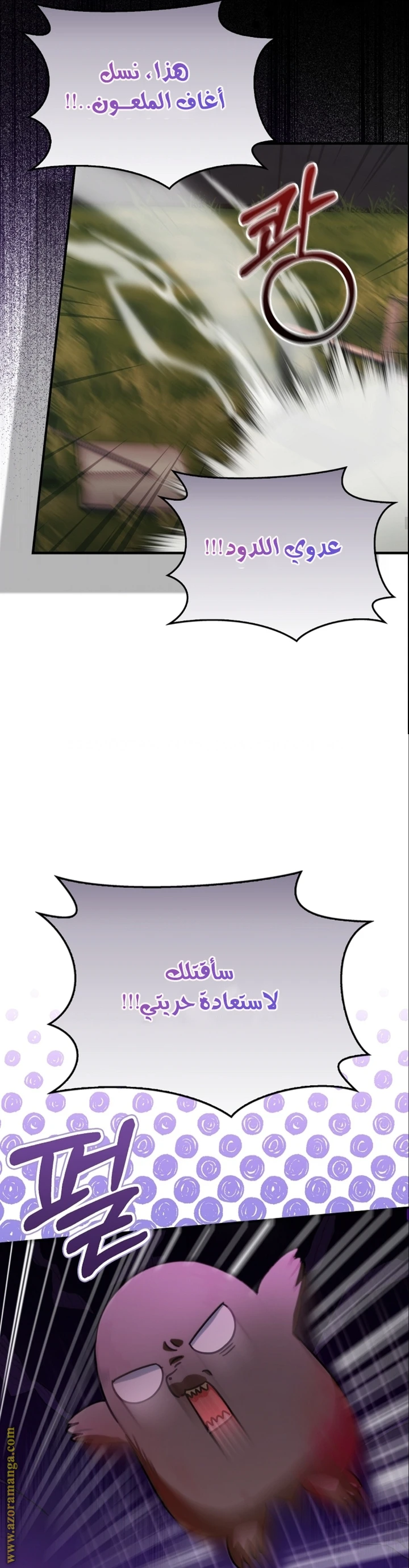 الصفحة 24