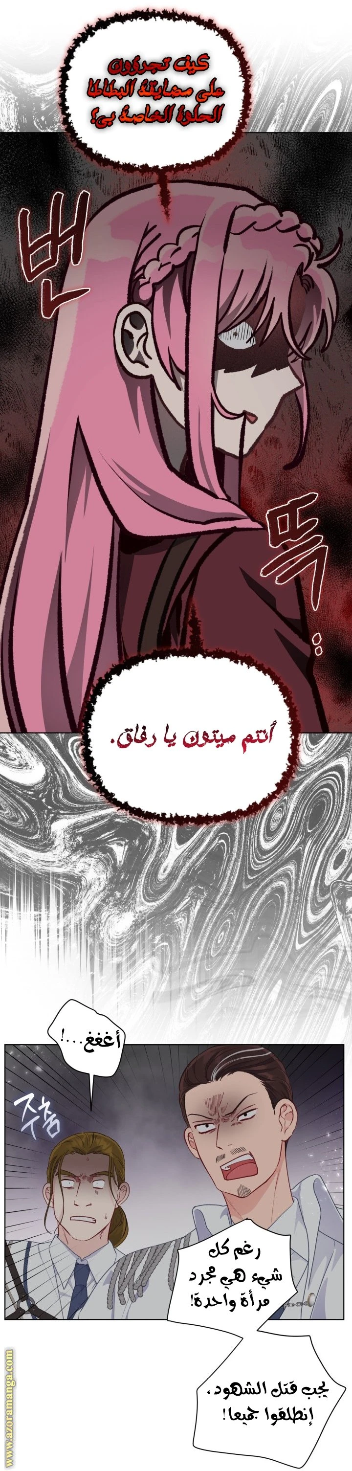 الصفحة 13