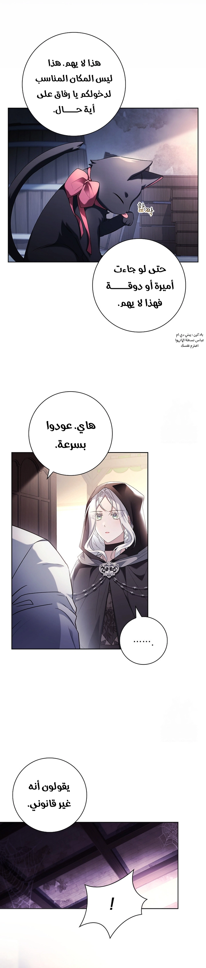 الصفحة 13