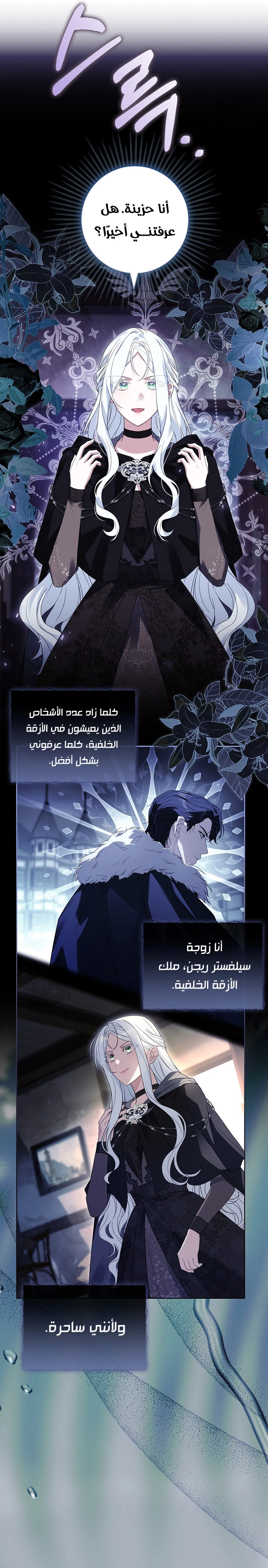 الصفحة 17