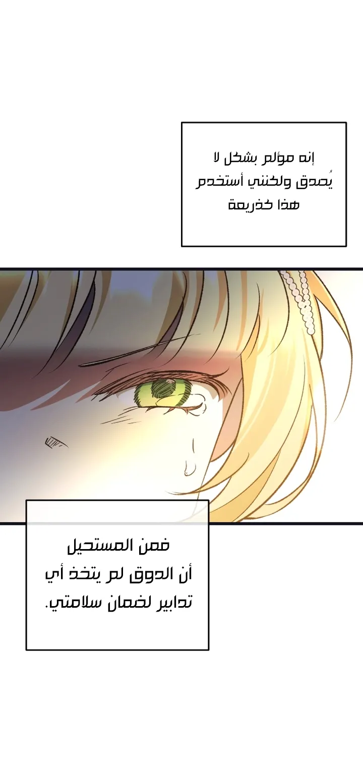 الصفحة 39