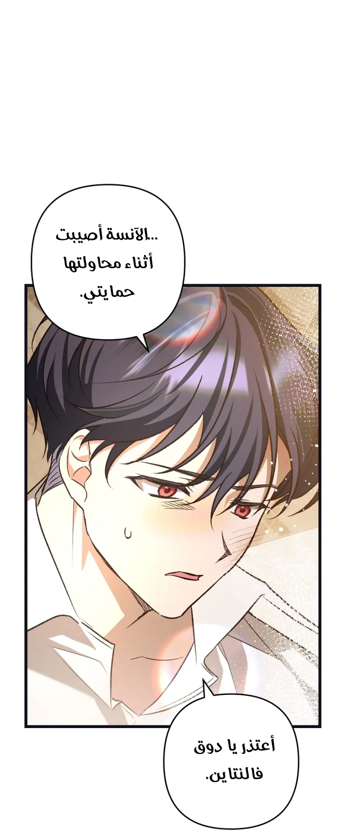 الصفحة 49