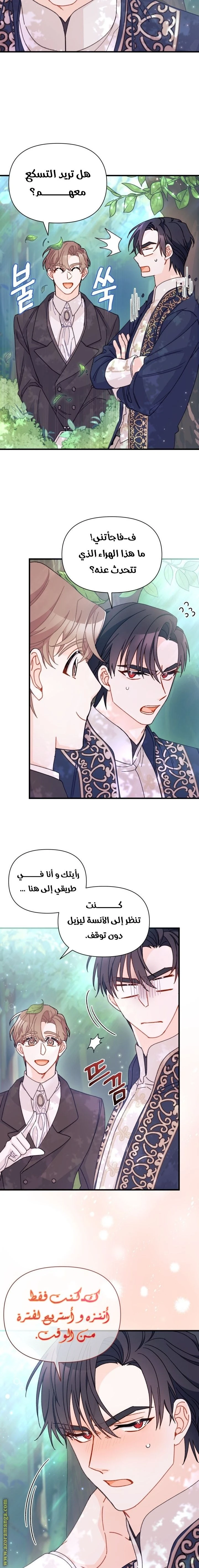 الصفحة 11