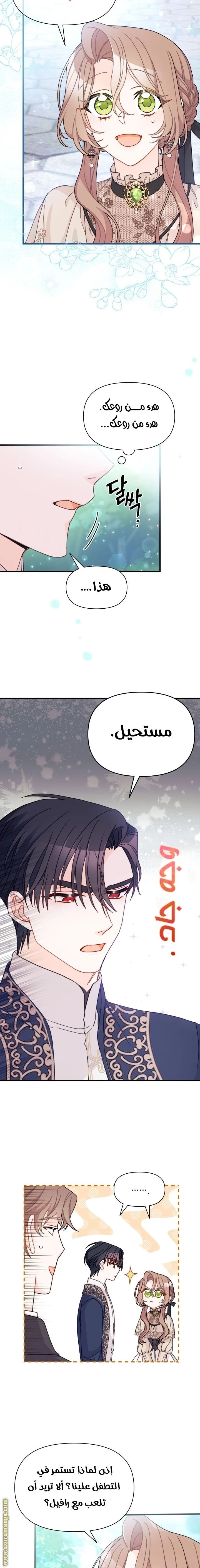 الصفحة 13