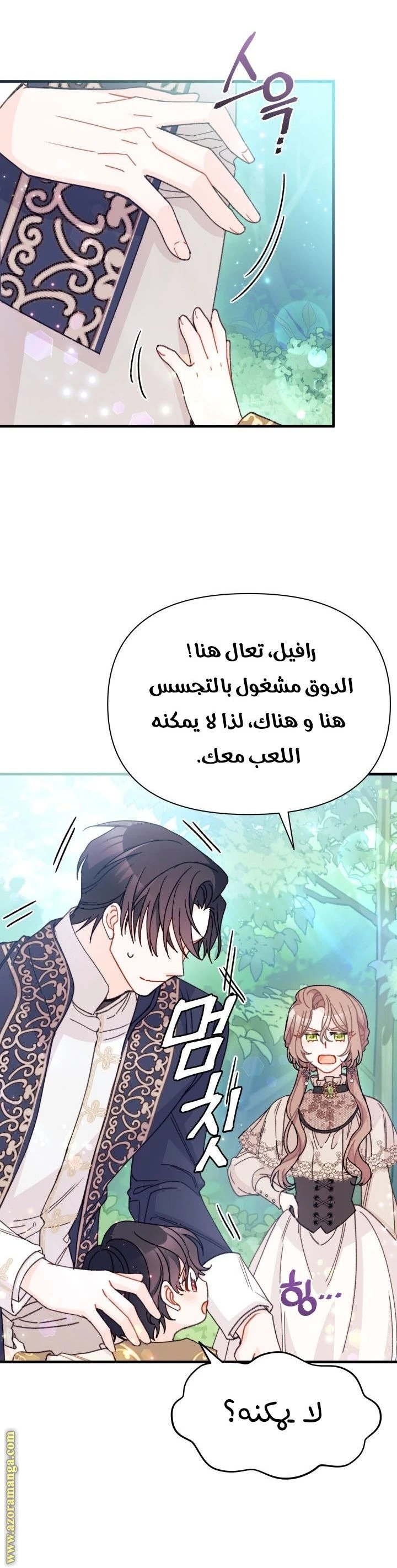 الصفحة 17