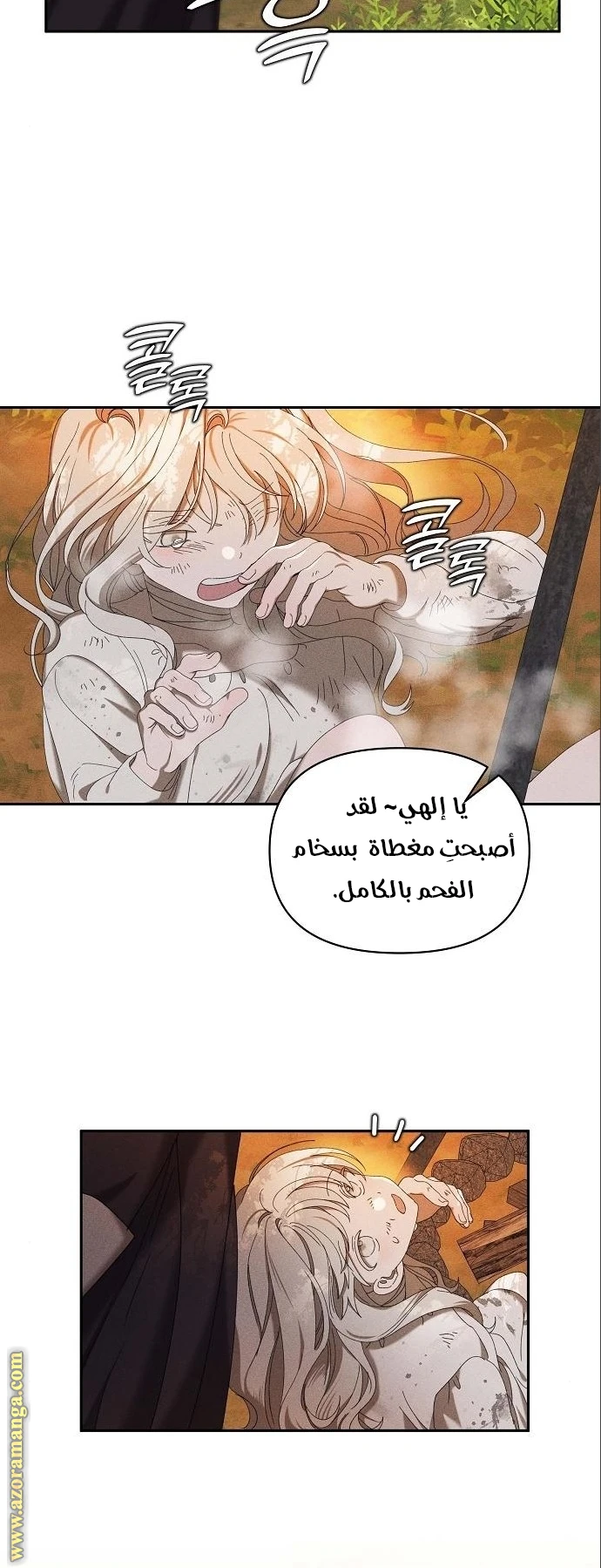 الصفحة 12