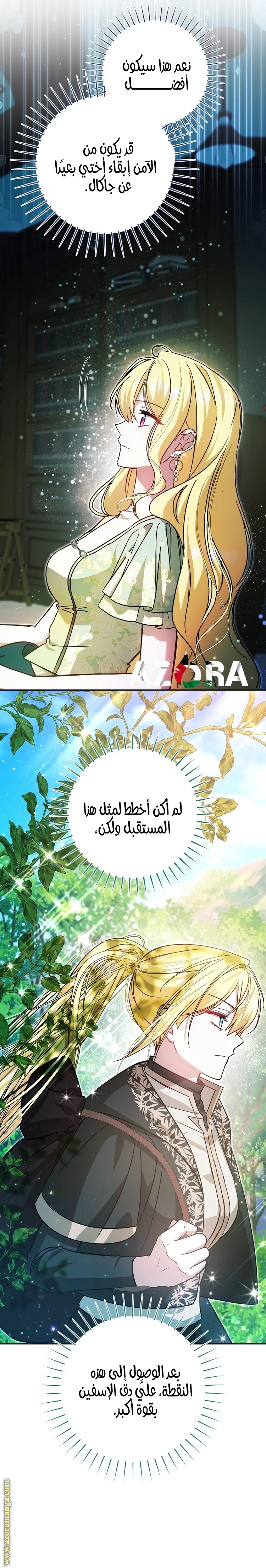 الصفحة 29