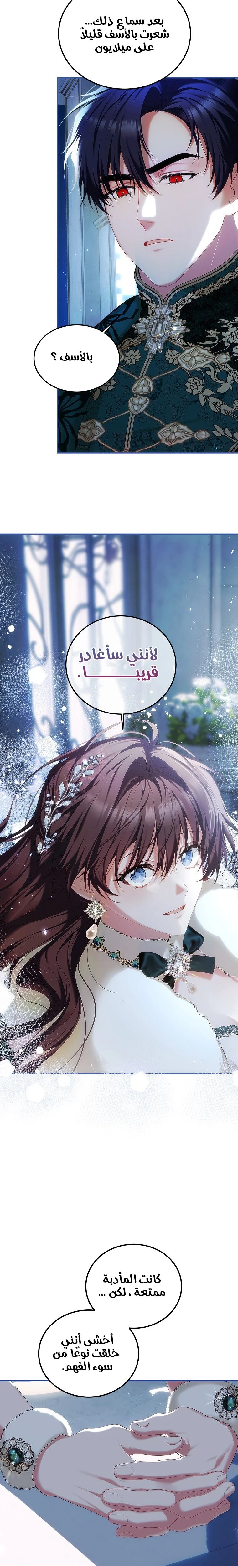 الصفحة 17