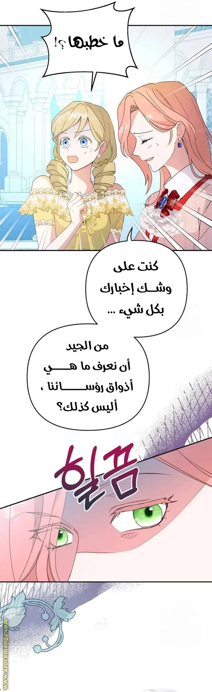 الصفحة 26