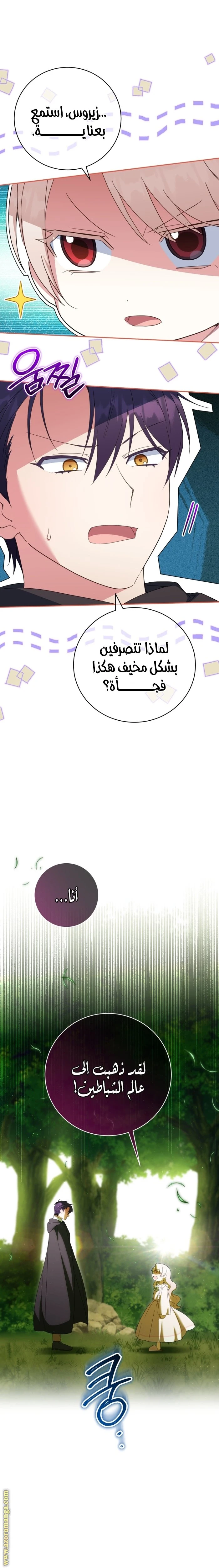 الصفحة 17