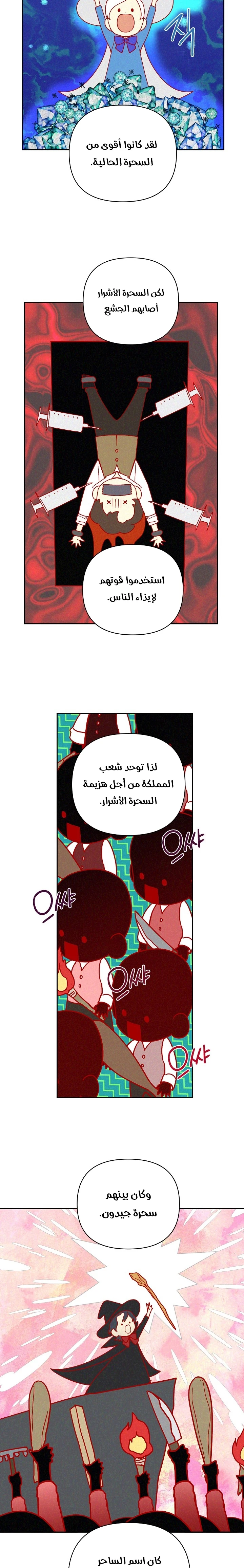 الصفحة 13