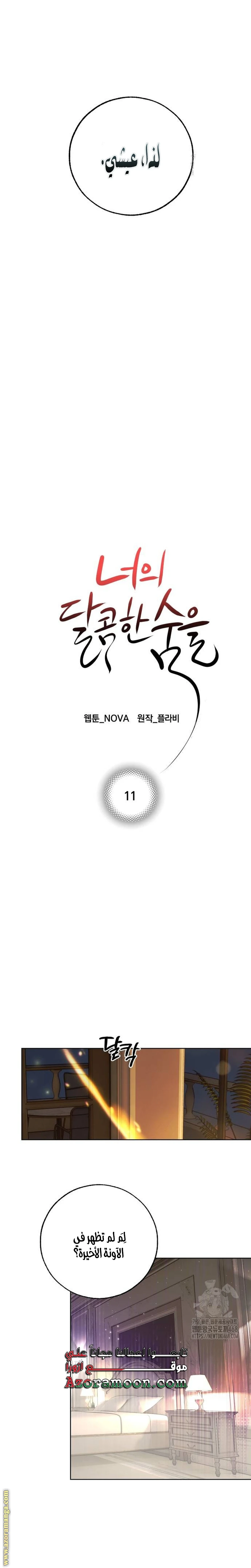 الصفحة 11