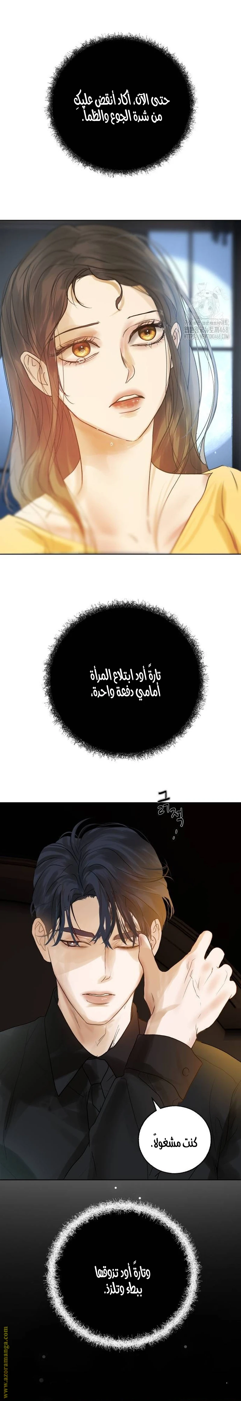 الصفحة 12