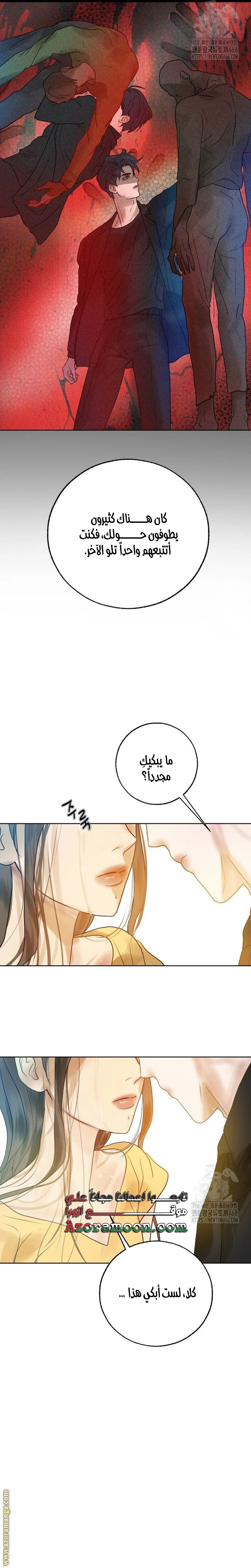 الصفحة 13