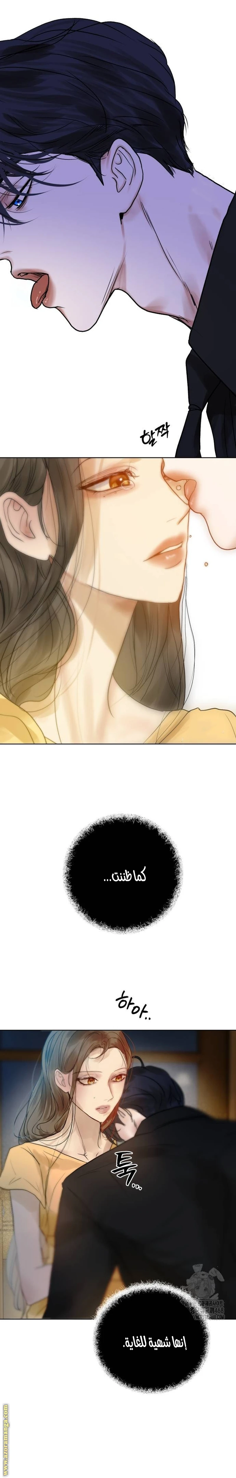 الصفحة 14