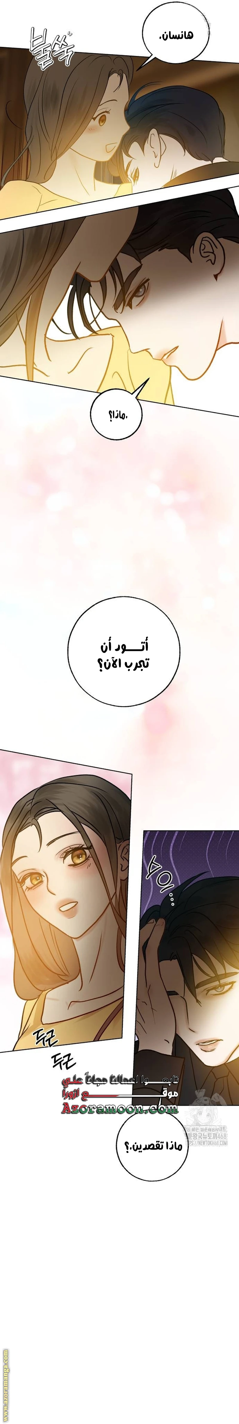 الصفحة 17