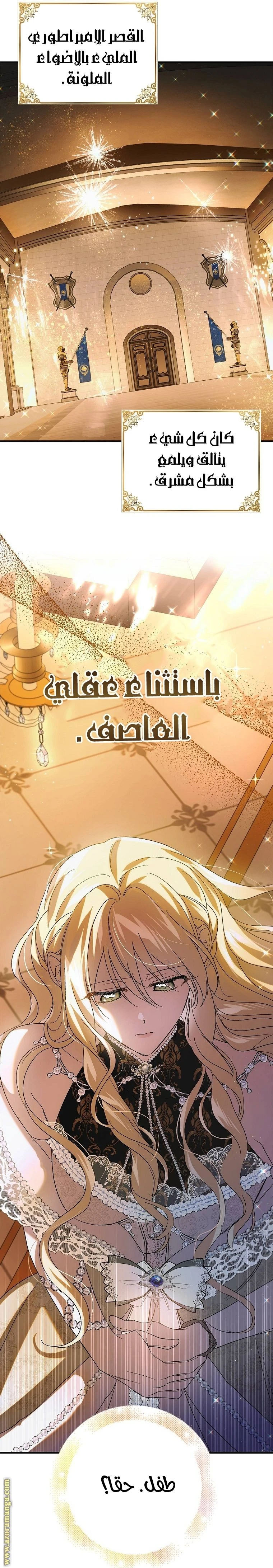 الصفحة 21