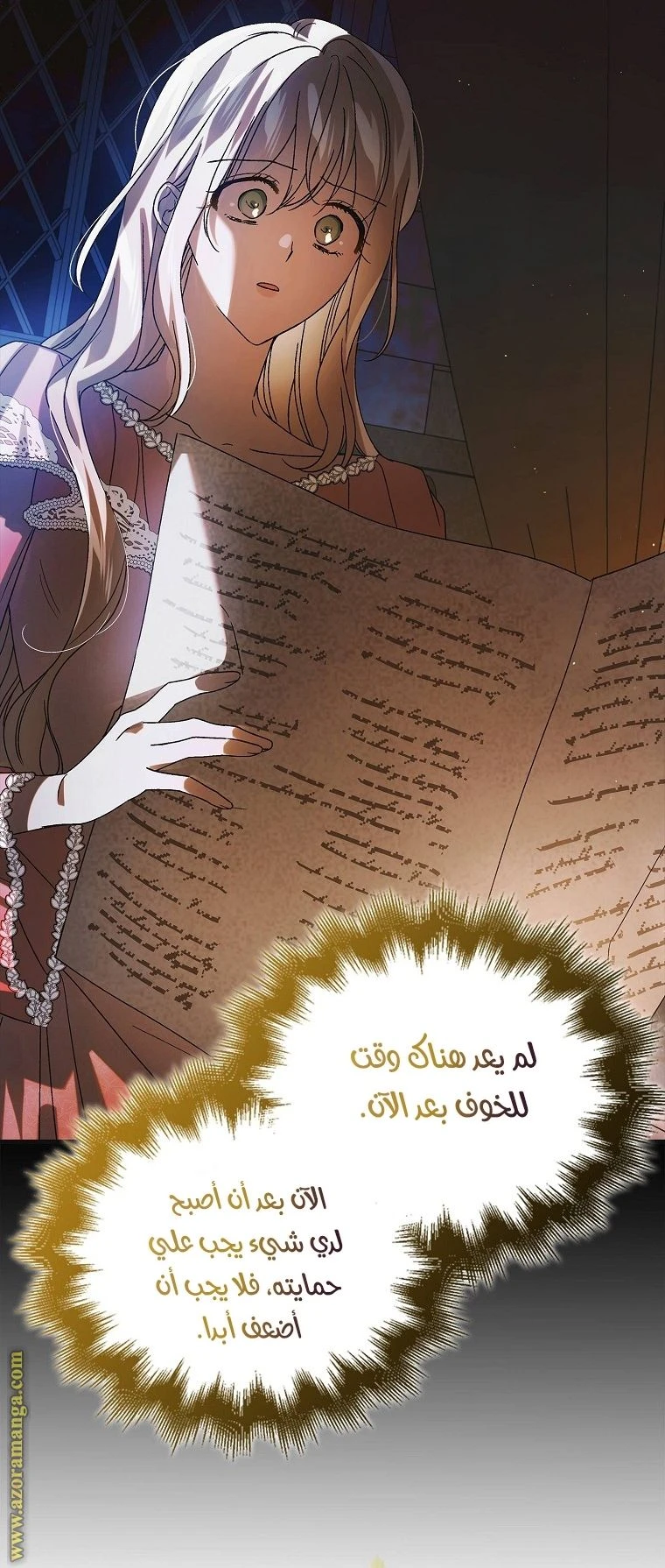 الصفحة 25