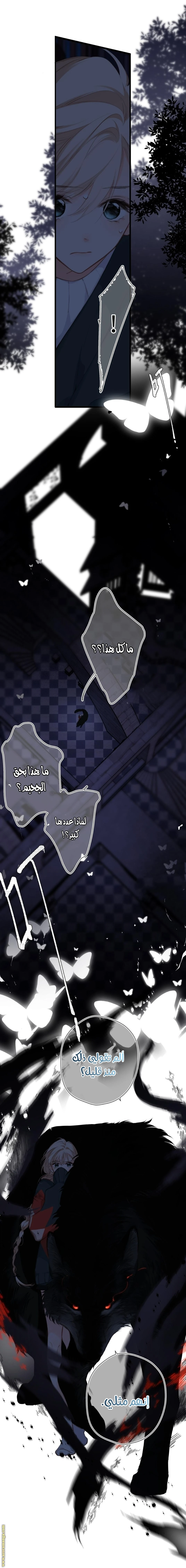 الصفحة 5
