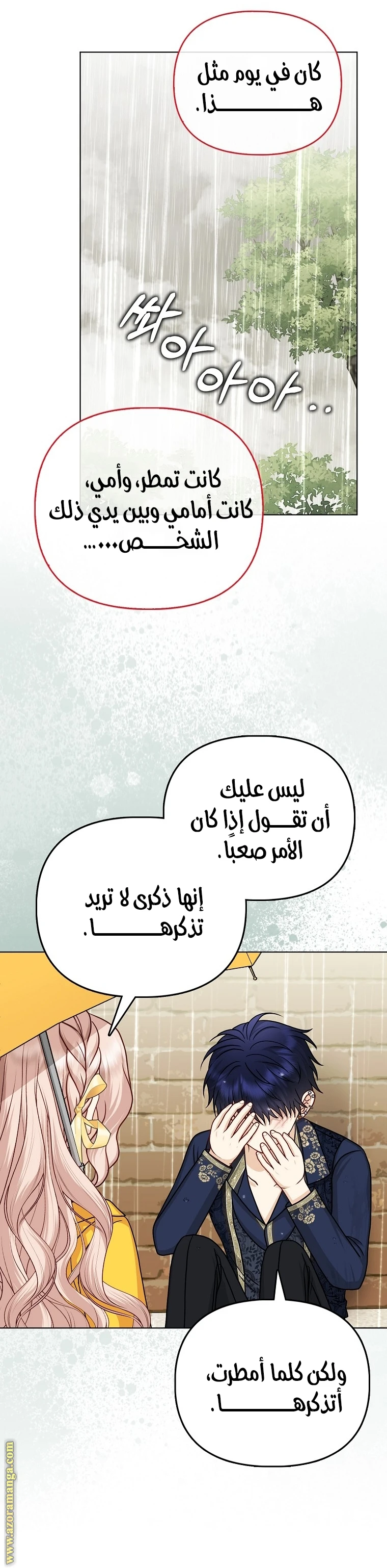 الصفحة 17