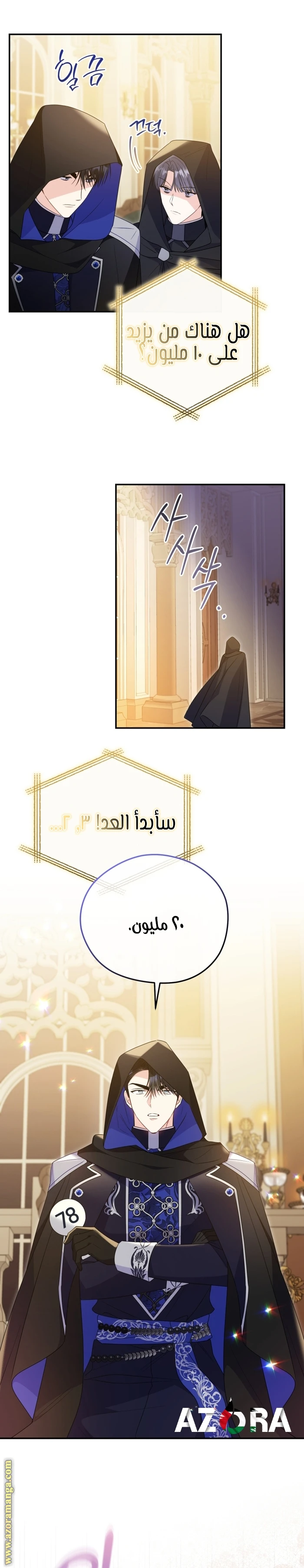 الصفحة 13