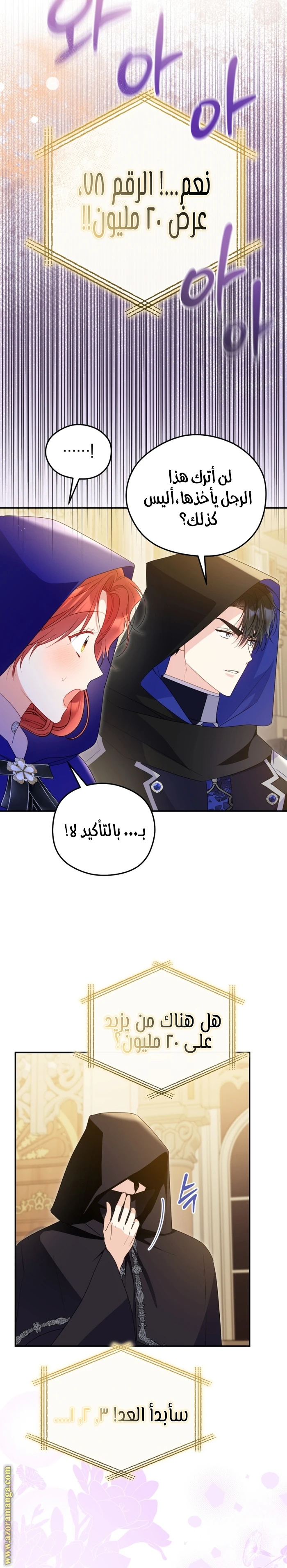 الصفحة 14