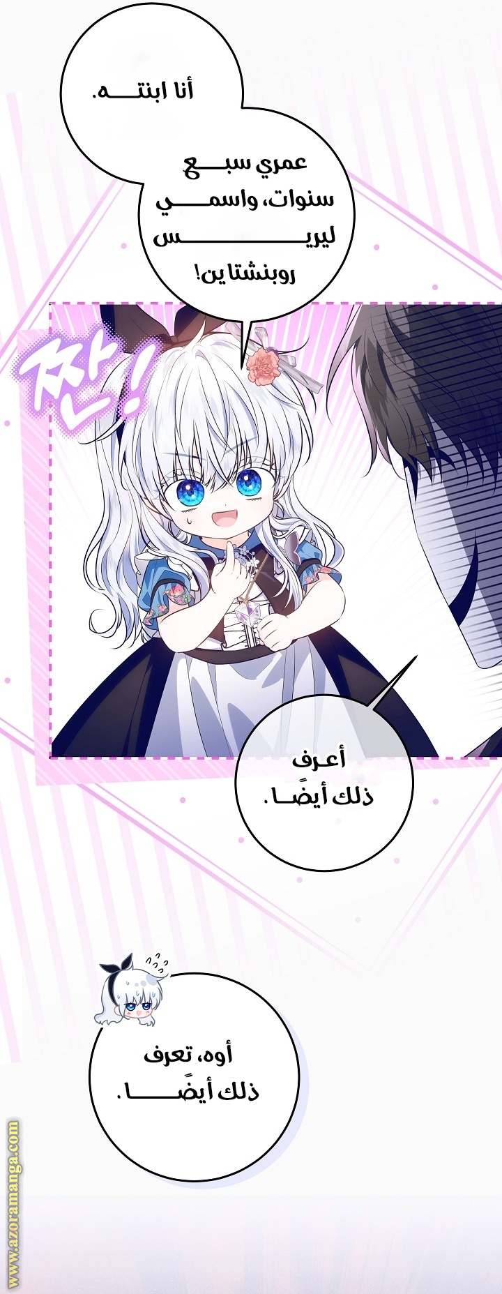 الصفحة 25