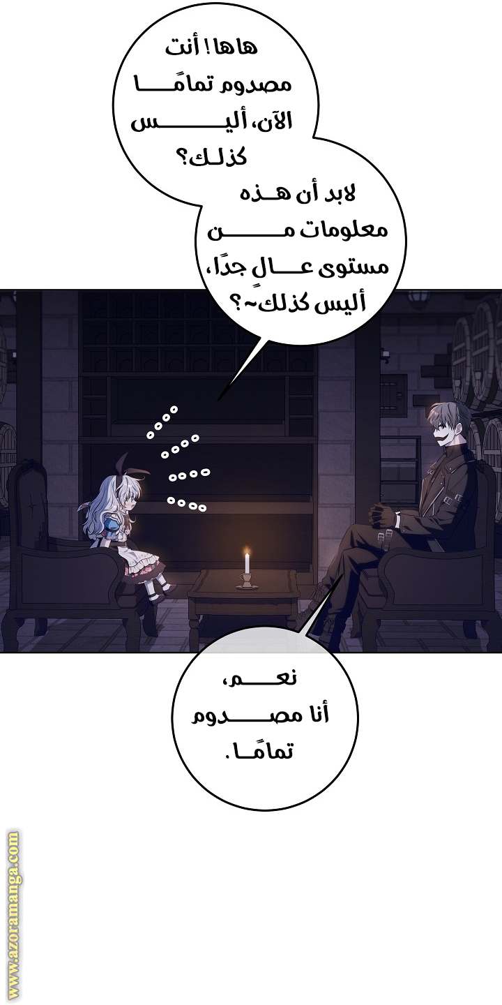 الصفحة 29