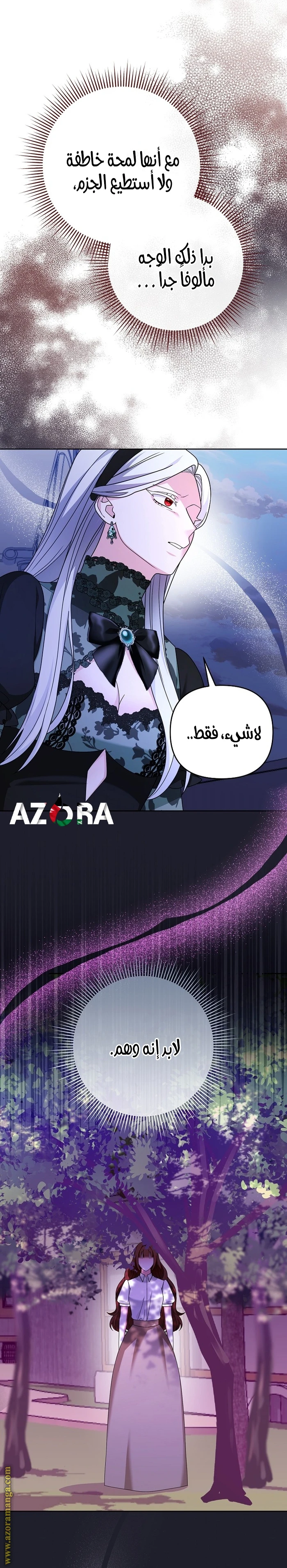 الصفحة 25