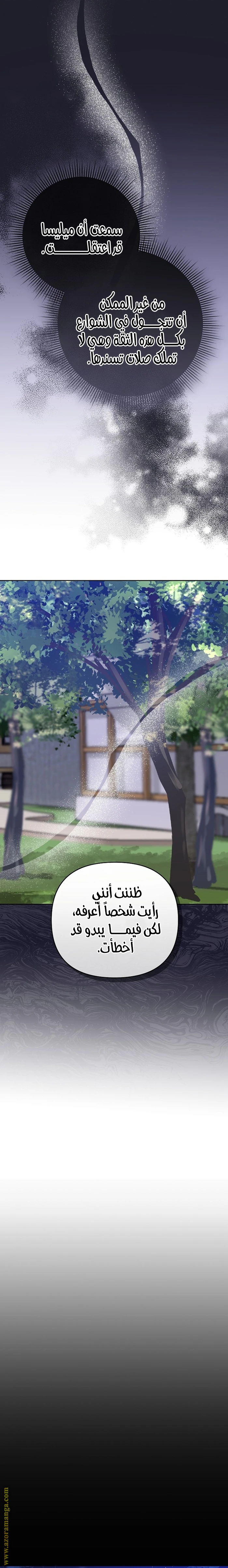 الصفحة 26
