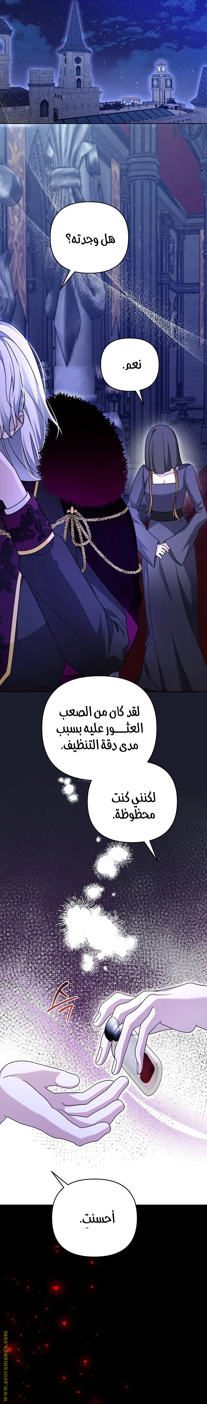الصفحة 27