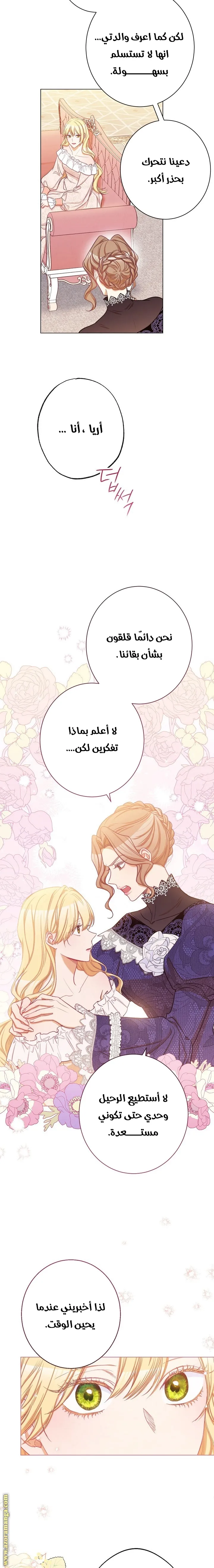 الصفحة 3