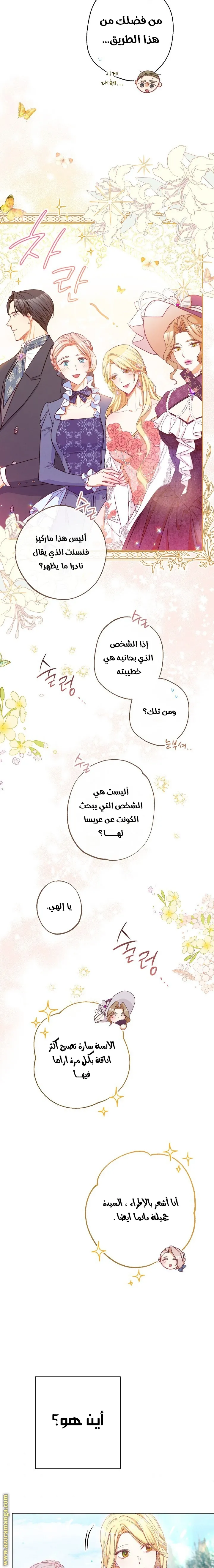 الصفحة 13