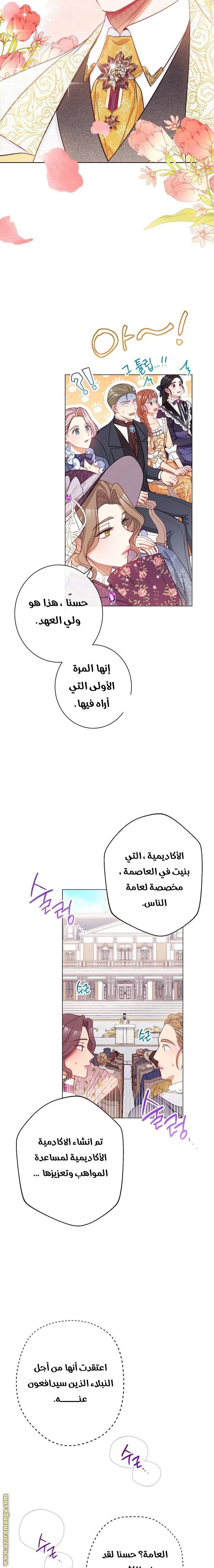 الصفحة 17